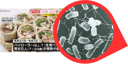 ハイローラーを食べてO157に感染